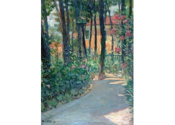 Nella pineta Nella pineta